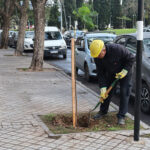 En la Semana del Árbol, Gigliani presentó nuevo proyecto sobre Arbolado Público