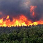 Colombia en alerta: incendios forestales arrasaron miles de hectáreas