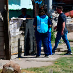 Se llevó a cabo un nuevo operativo integral contra el dengue en barrio Qom