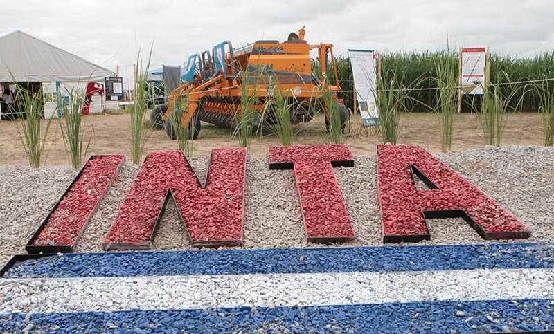 Motosierra en el INTA: con venta de edificios y tierras, el Gobierno anunció la «modernización» del organismo