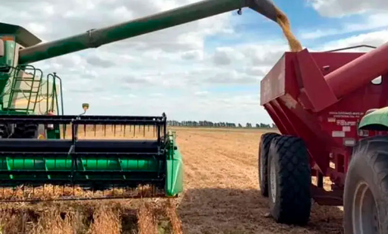 Giacomini: «Tormenta perfecta sobre el campo con caída de precios, suba de costos en US$ y carry trade»