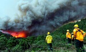 El incendio en el Parque Lanín arrasa con más de 22 mil hectáreas en Neuquén