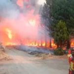 Chubut: el incendio en el Parque Nacional Los Alerces consumió 320 hectáreas