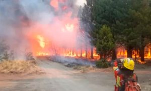 Chubut: el incendio en el Parque Nacional Los Alerces consumió 320 hectáreas