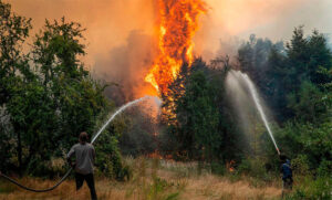 ¿Qué dice el último reporte sobre los incendios en el sur del país?