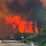 ¿Conspiranoia?: el Gobierno dice que los incendios en la Patagonia fueron provocados por «terroristas disfrazados de mapuches»